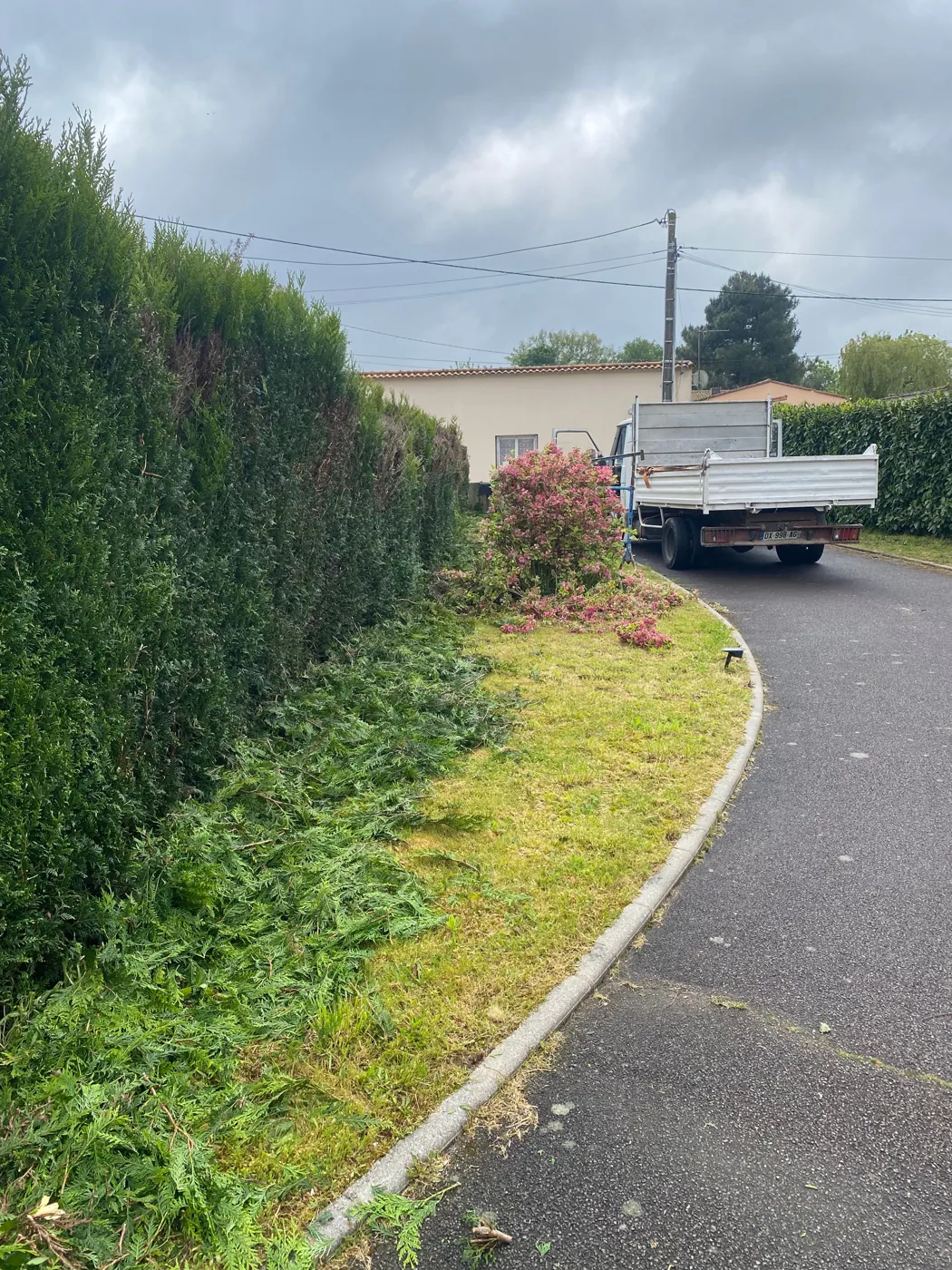 Haie taillée droite le long d'une allée, camion d'Élagage Vogel au fond