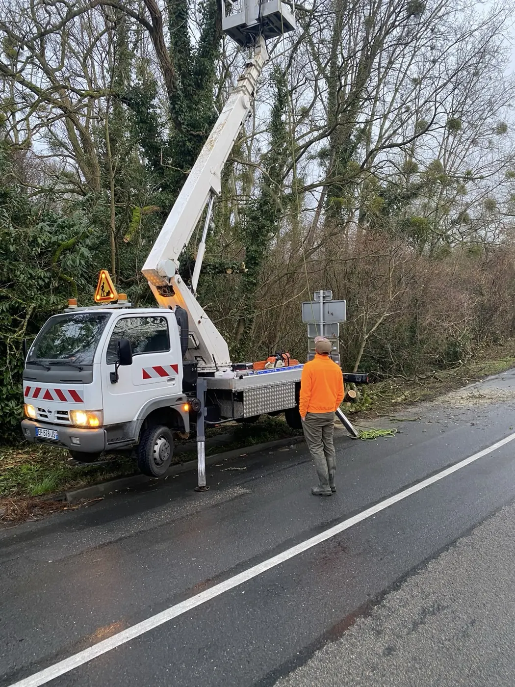 Un arbre élagué à la nacelle, au bord d'une route